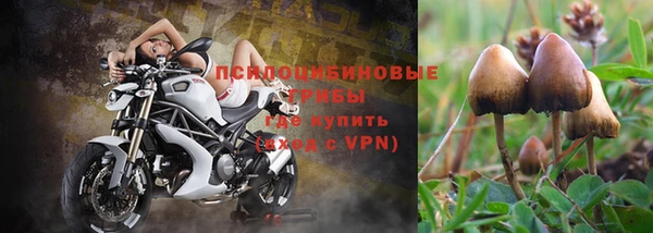 соль курить ск Арсеньев