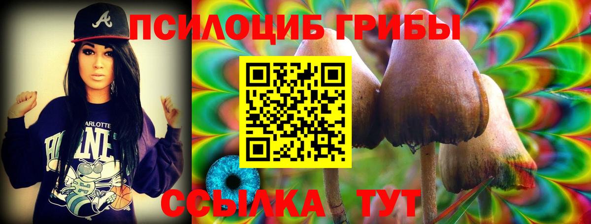 Псилоцибиновые грибы Cubensis  Вход с VPN  Кирово-Чепецк 
